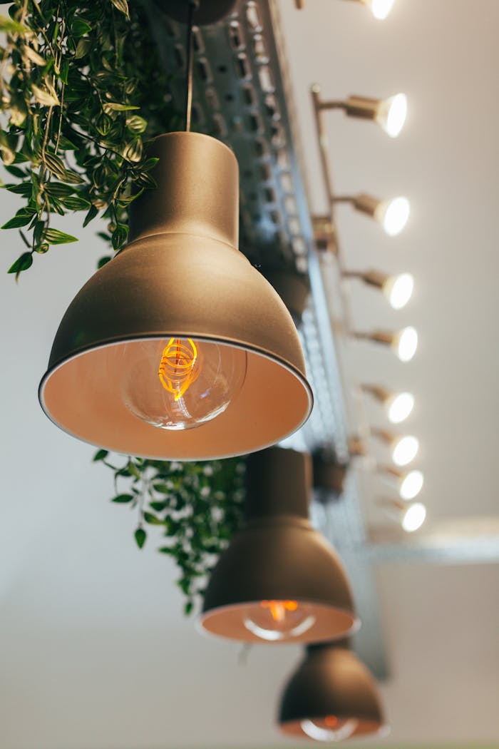 Stylish indoor lighting setup with contemporary hanging lamps and lush greenery.